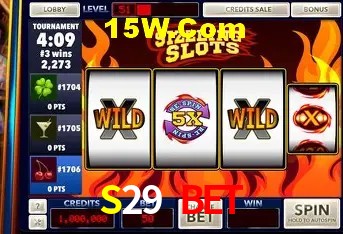 S29 Bet - Security